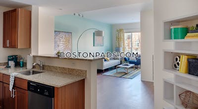 Dorchester Studio  Luxury in BOSTON Boston - $2,566 No Fee