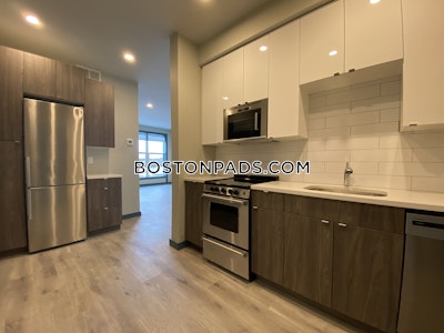 Dorchester/south Boston Border Luxurious 2 Bed 1 Bath Boston - $3,250