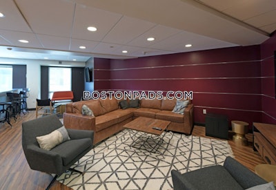 Fenway/kenmore Apartment for rent 1 Bedroom 1 Bath Boston - $3,934