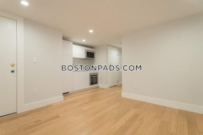 Brighton Apartment for rent 1 Bedroom 1 Bath Boston - $2,400