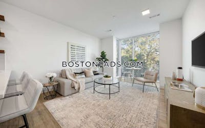 Brighton Apartment for rent 1 Bedroom 1 Bath Boston - $3,720