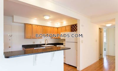 Newton Apartment for rent 2 Bedrooms 2 Baths  Chestnut Hill - $3,200