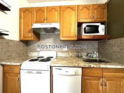 Allston Apartment for rent Studio 1 Bath Boston - $2,050