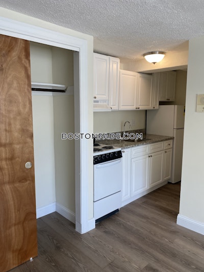 Brighton Apartment for rent 1 Bedroom 1 Bath Boston - $2,100 No Fee