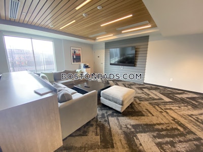Allston Apartment for rent Studio 1 Bath Boston - $2,965