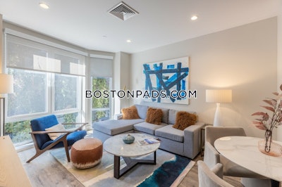 Mission Hill Apartment for rent 2 Bedrooms 2 Baths Boston - $5,463