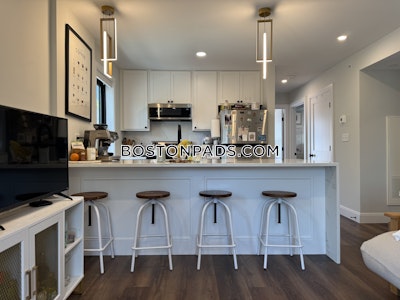 Brighton Apartment for rent 3 Bedrooms 3 Baths Boston - $4,800