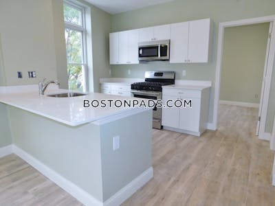 Roxbury Apartment for rent 3 Bedrooms 2 Baths Boston - $3,550