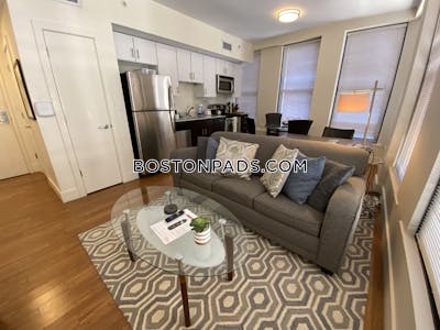 Downtown Apartment for rent 1 Bedroom 1 Bath Boston - $3,200