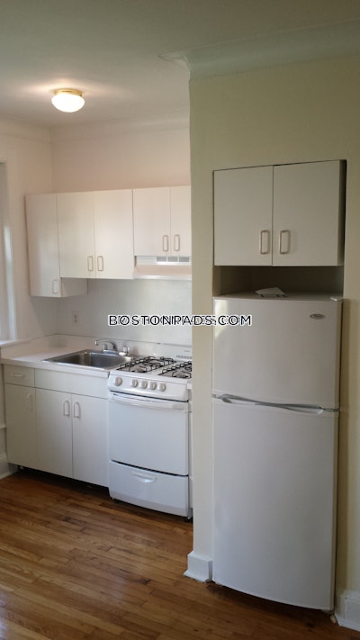 Brighton Apartment for rent 1 Bedroom 1 Bath Boston - $2,565 No Fee