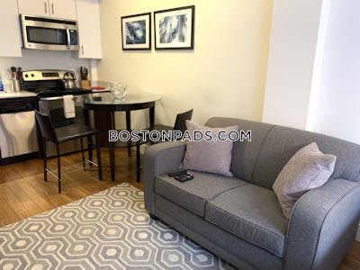 Downtown Beautiful Studio 1 Bath Boston - $2,500 No Fee