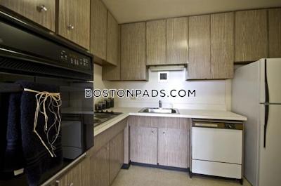 Brighton Apartment for rent 1 Bedroom 1 Bath Boston - $2,550 No Fee
