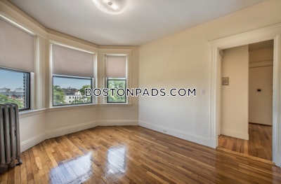 Allston Apartment for rent Studio 1 Bath Boston - $2,050 No Fee