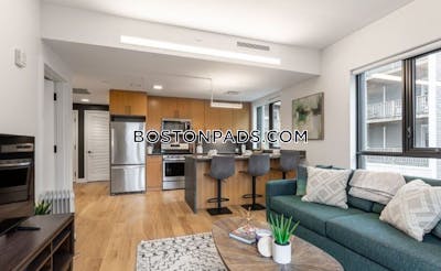 Allston Apartment for rent 2 Bedrooms 2 Baths Boston - $4,500 No Fee