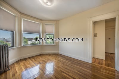 Allston Apartment for rent 1 Bedroom 1 Bath Boston - $2,450 No Fee