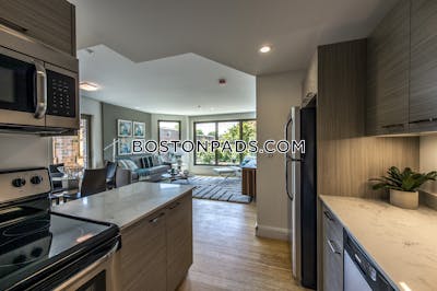 Allston Apartment for rent 2 Bedrooms 2 Baths Boston - $4,200 No Fee