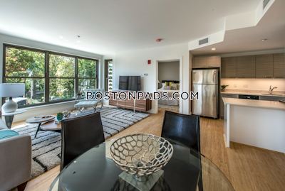Allston Apartment for rent 2 Bedrooms 2 Baths Boston - $4,200