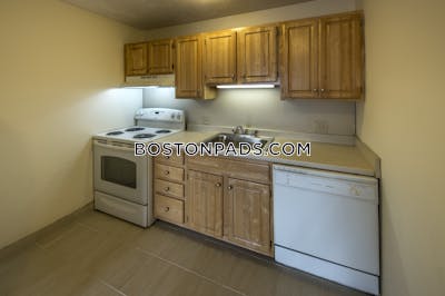 Allston Apartment for rent 2 Bedrooms 2 Baths Boston - $4,550 No Fee