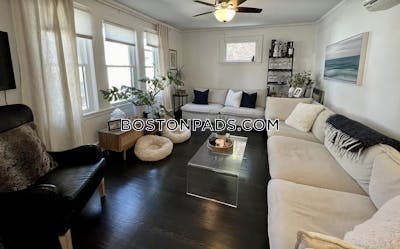 Brighton Apartment for rent 3 Bedrooms 2 Baths Boston - $5,200