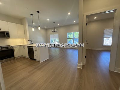 Brighton Apartment for rent 2 Bedrooms 2 Baths Boston - $4,250 No Fee