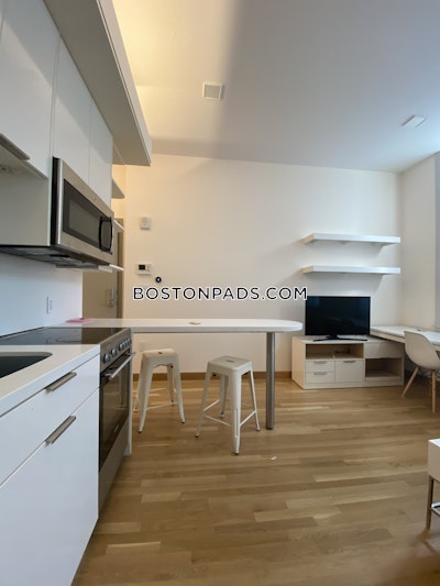 Cambridge Apartment for rent Studio 1 Bath  Harvard Square - $3,400