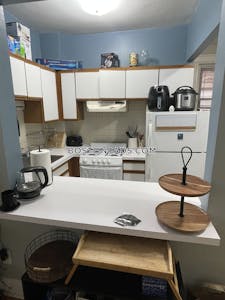 Allston Apartment for rent 1 Bedroom 1 Bath Boston - $2,500