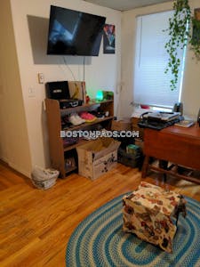 Brighton Apartment for rent 1 Bedroom 1 Bath Boston - $1,995