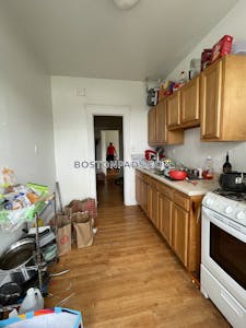 Brighton Apartment for rent 1 Bedroom 1 Bath Boston - $2,475 No Fee