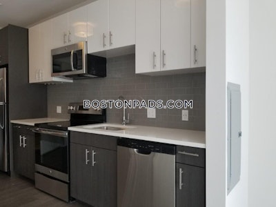 Brighton Apartment for rent 1 Bedroom 2 Baths Boston - $2,800