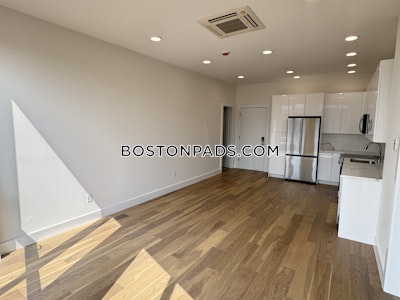 Brighton Apartment for rent 1 Bedroom 1 Bath Boston - $2,895 No Fee