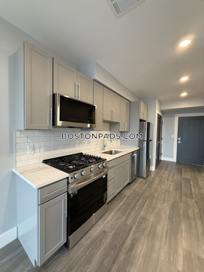 Brighton Apartment for rent 1 Bedroom 1 Bath Boston - $3,600 No Fee