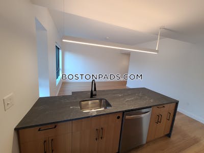 Allston Apartment for rent 2 Bedrooms 2 Baths Boston - $4,500 No Fee