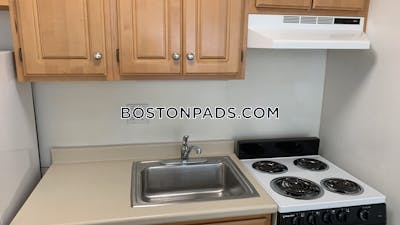 Cambridge Apartment for rent Studio 1 Bath  Mt. Auburn/brattle/ Fresh Pond - $2,050 No Fee