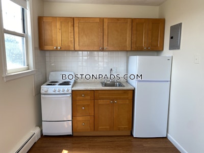 Allston/brighton Border Apartment for rent 1 Bedroom 1 Bath Boston - $2,500 No Fee