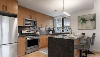 Allston Apartment for rent 2 Bedrooms 2 Baths Boston - $4,375 No Fee