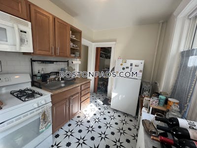 Brighton Apartment for rent 1 Bedroom 1 Bath Boston - $2,400 No Fee