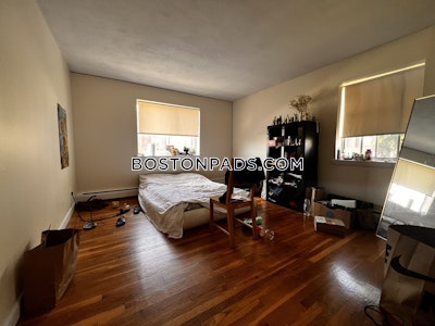 Allston Apartment for rent 1 Bedroom 1 Bath Boston - $3,350