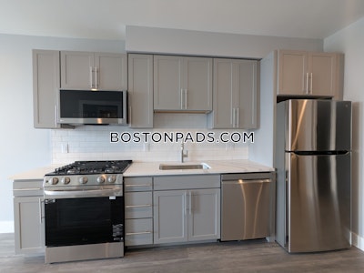Brighton Apartment for rent 1 Bedroom 1 Bath Boston - $3,400 No Fee