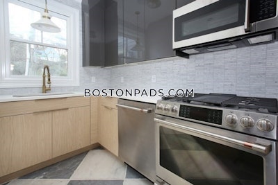 Brighton Apartment for rent 2 Bedrooms 1 Bath Boston - $3,750 No Fee