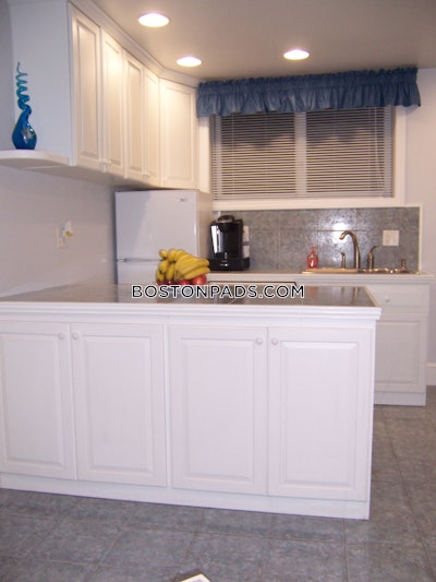 East Boston Apartment for rent 2 Bedrooms 1 Bath Boston - $2,900 No Fee