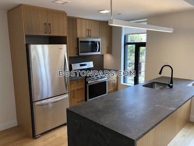 Allston Apartment for rent 2 Bedrooms 2 Baths Boston - $4,500 No Fee