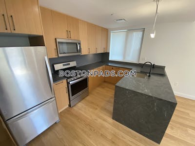 Allston Apartment for rent 2 Bedrooms 2 Baths Boston - $4,500 No Fee
