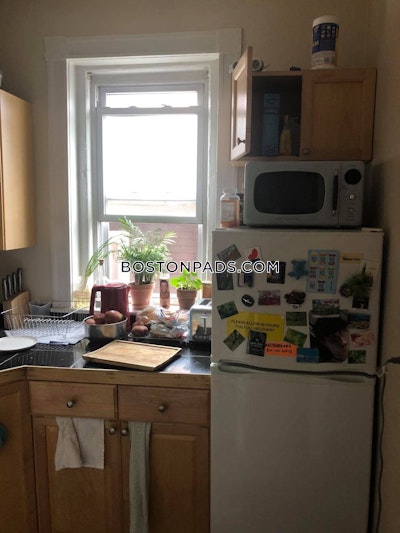 Allston Apartment for rent 1 Bedroom 1 Bath Boston - $2,950