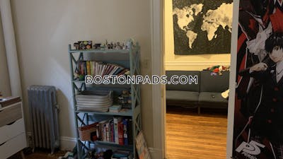 Allston Apartment for rent 1 Bedroom 1 Bath Boston - $2,900 No Fee