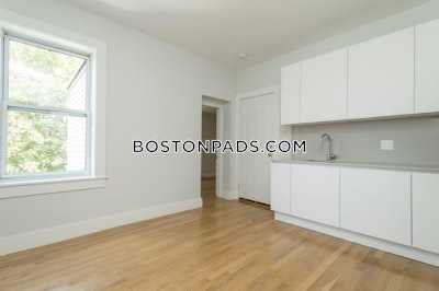 Brighton Apartment for rent 2 Bedrooms 1 Bath Boston - $3,500
