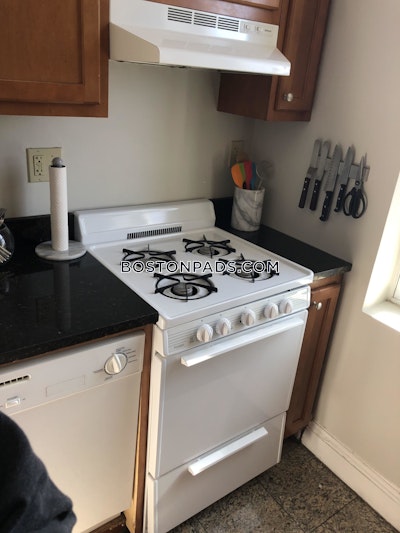 Allston Apartment for rent Studio 1 Bath Boston - $2,340
