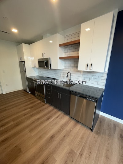 Allston Apartment for rent 1 Bedroom 1 Bath Boston - $4,221 No Fee