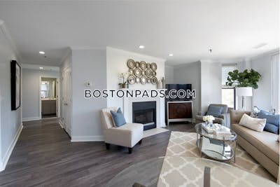 Back Bay 2 bedroom  baths Luxury in BOSTON Boston - $6,565