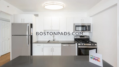 West End Apartment for rent Studio 1 Bath Boston - $2,850