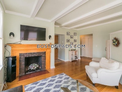 Brighton Apartment for rent 1 Bedroom 1 Bath Boston - $2,650 No Fee